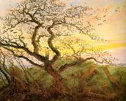 Caspar David Friedrich The Tree of Crows Sweden oil painting reproduction
